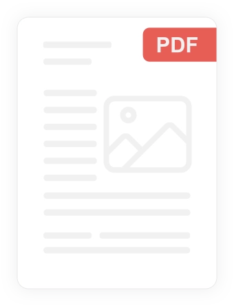    PDF